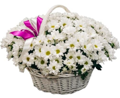 Basket of Daisy Chrysanthemum - Florist London