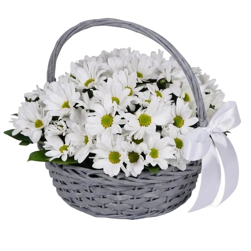 Basket of Daisy Chrysanthemum - Florist London