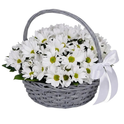 Basket of Daisy Chrysanthemum - Florist London