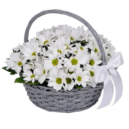 Basket of Daisy Chrysanthemum - Florist London