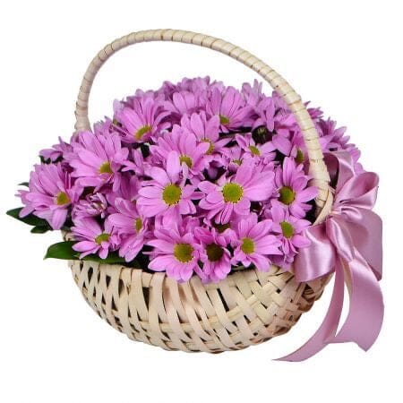 Basket of Daisy Chrysanthemum - Florist London