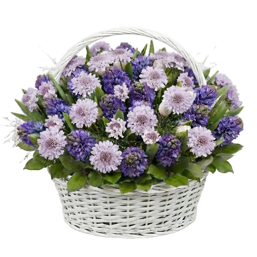 Basket of Hyacinth and Scabiosa - Florist London