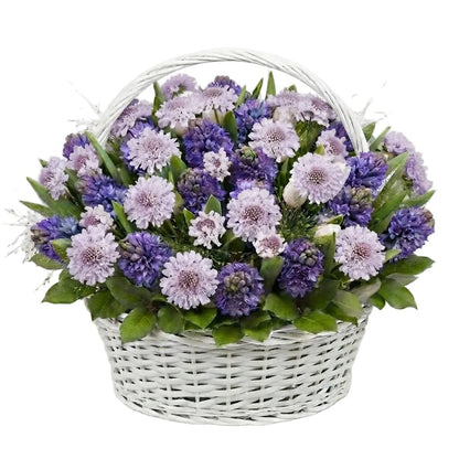 Basket of Hyacinth and Scabiosa - Florist London