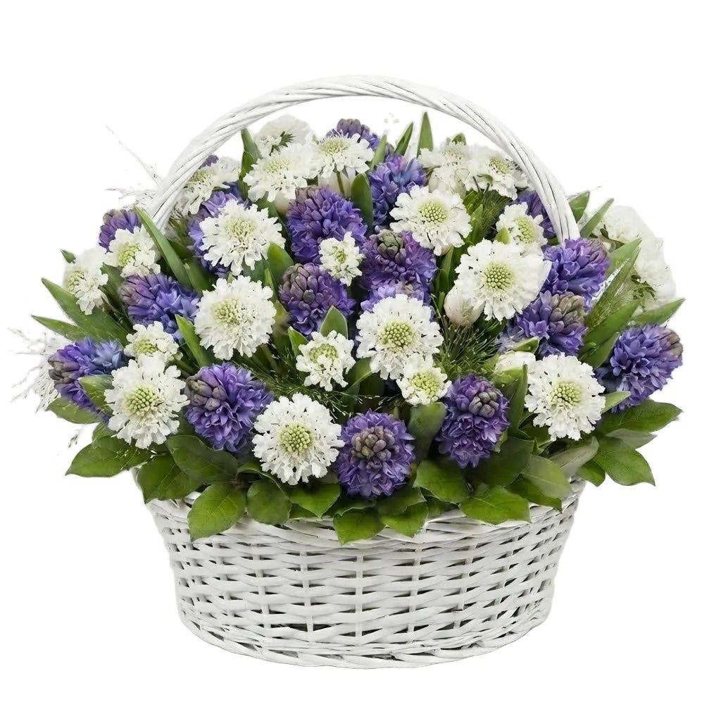Basket of Hyacinth and Scabiosa - Florist London