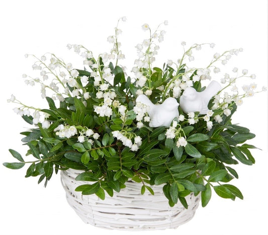 Basket of Lily of The Valley in Greenery with Birds - Florist London