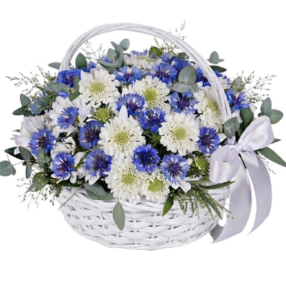 Basket of Scabiosa and Blue Cornflowers - Florist London