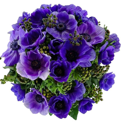 Blue Anemones with English Berry Bouquet - Florist London