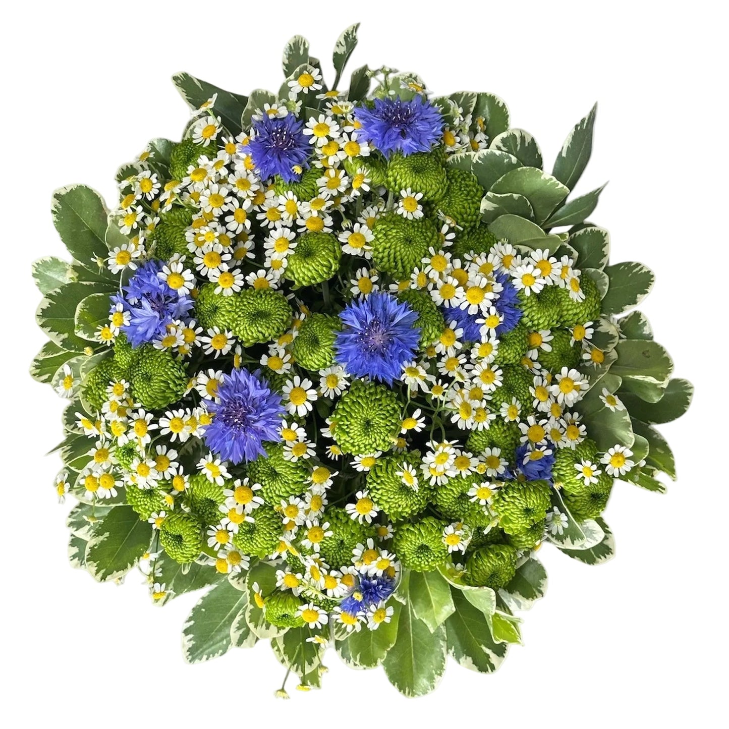 Blue Cornflowers in Green with Tanacetum Bouquet - Florist London