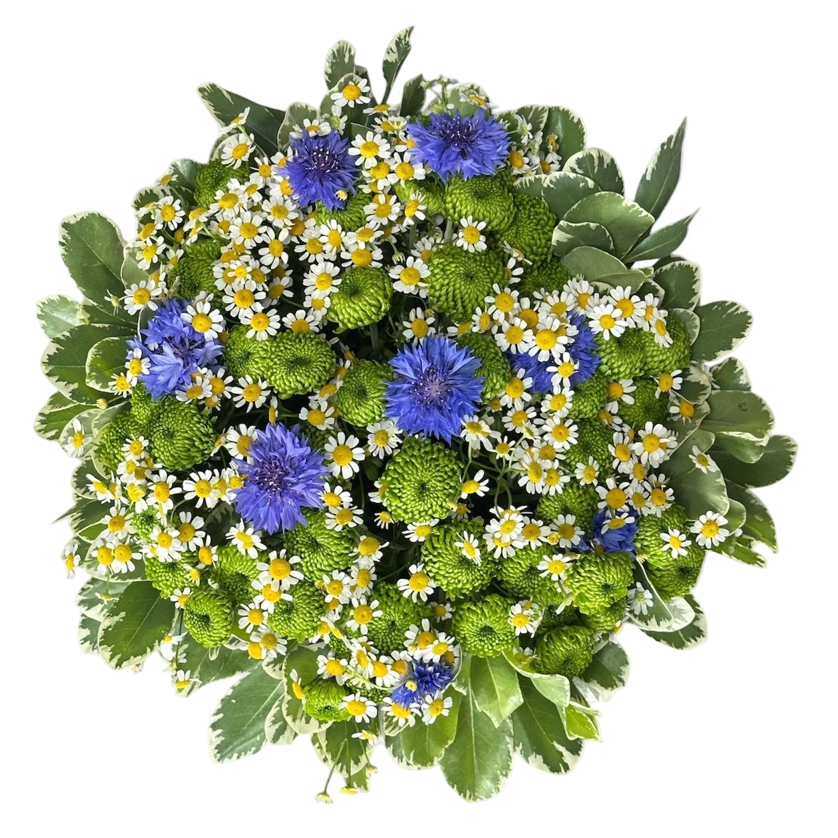 Blue Cornflowers in Green with Tanacetum Bouquet - Florist London