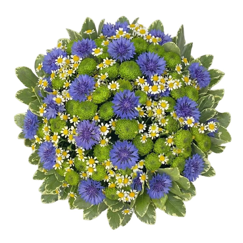 Blue Cornflowers in Green with Tanacetum Bouquet - Florist London