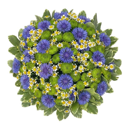 Blue Cornflowers in Green with Tanacetum Bouquet - Florist London