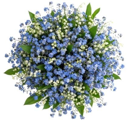 Blue Forget - Me - Not and White Bells Bouquet - Florist London
