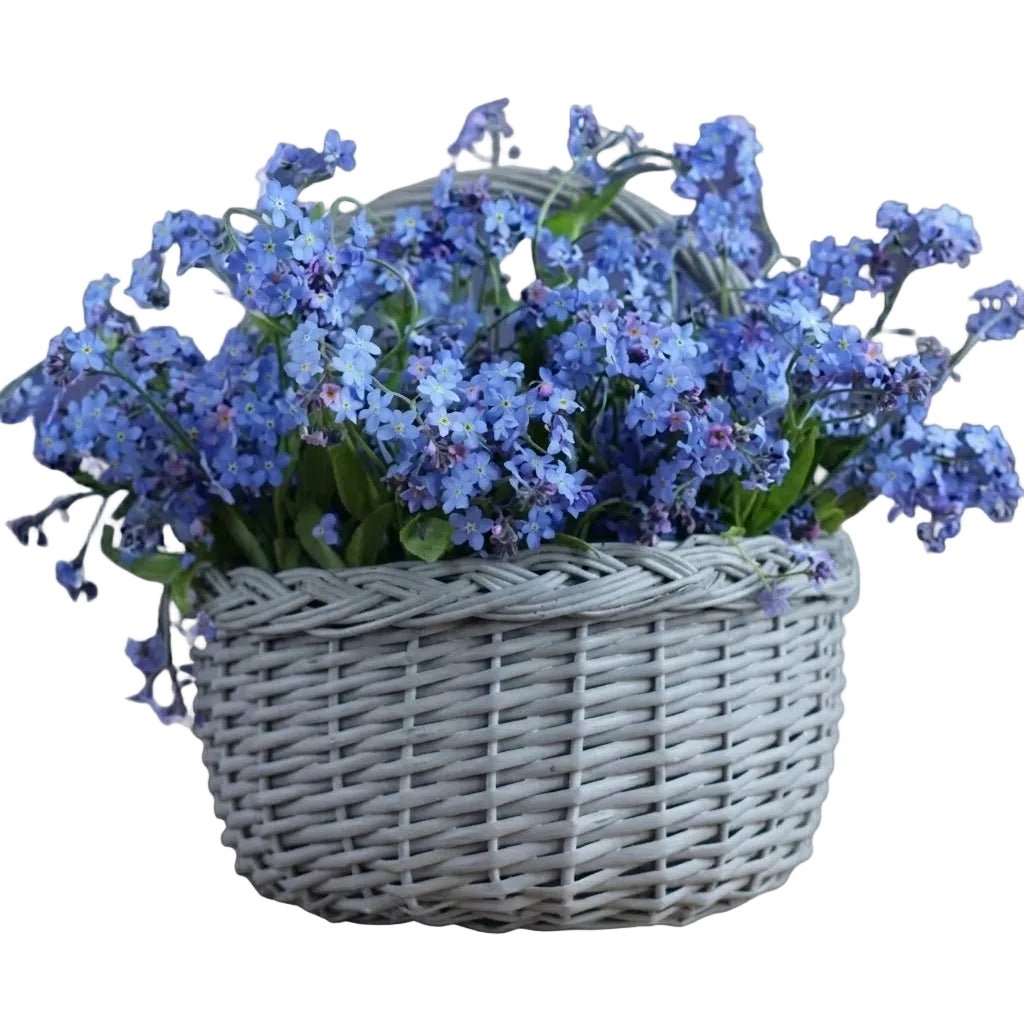 Blue Forget-Me-Not Flowers in Basket - Florist London