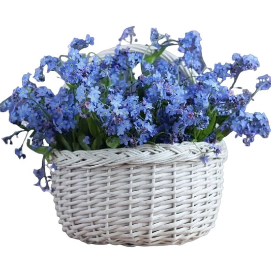 Blue Forget-Me-Not Flowers in Basket - Florist London