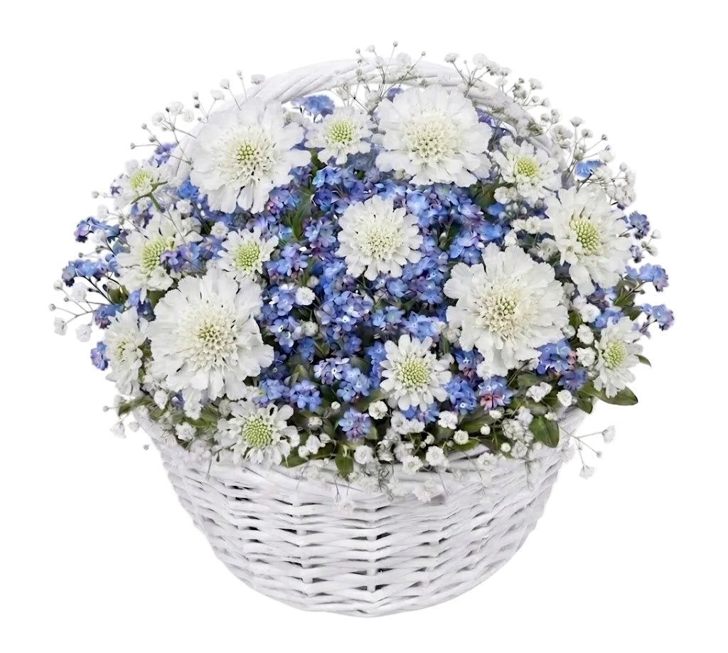 Blue Forget-Me-Not & Scabiosa Flower Basket - Florist London