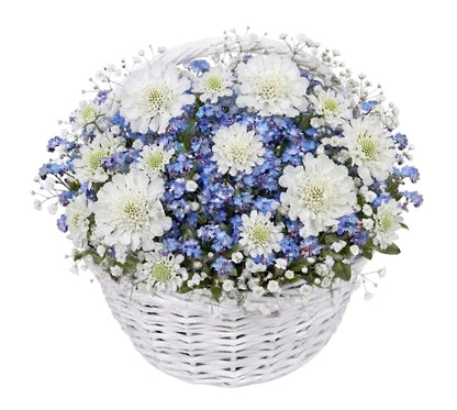 Blue Forget-Me-Not & Scabiosa Flower Basket - Florist London