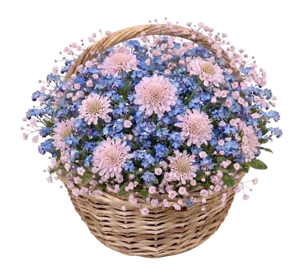 Blue Forget-Me-Not & Scabiosa Flower Basket - Florist London