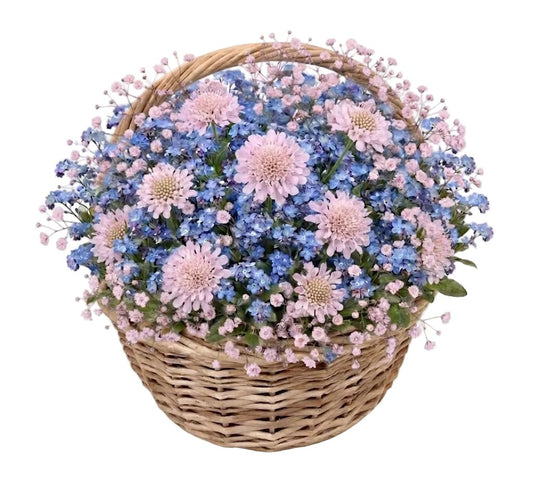 Blue Forget-Me-Not & Scabiosa Flower Basket - Florist London