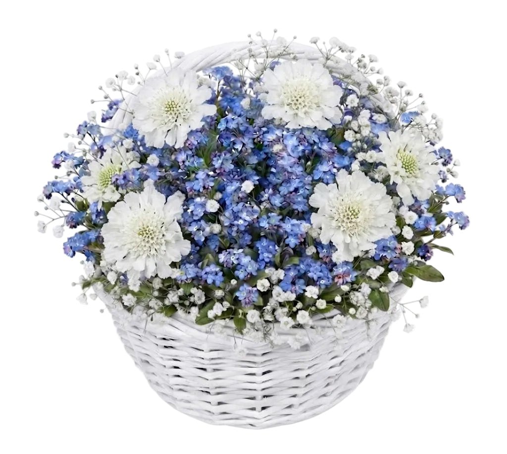 Blue Forget-Me-Not & Scabiosa Flower Basket - Florist London
