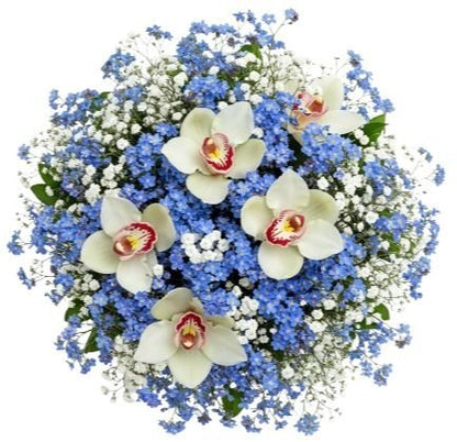 Blue Forget - Me - Not with Cymbidium Orchids Bouquet - Florist London