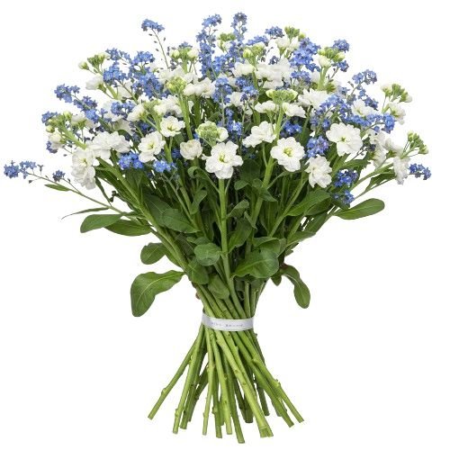 Blue Forget - Me - Not with Fragrant Stocks Bouquet - Florist London
