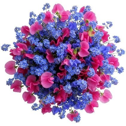 Blue Forget - Me - Not with Sweet Pea Bouquet - Florist London