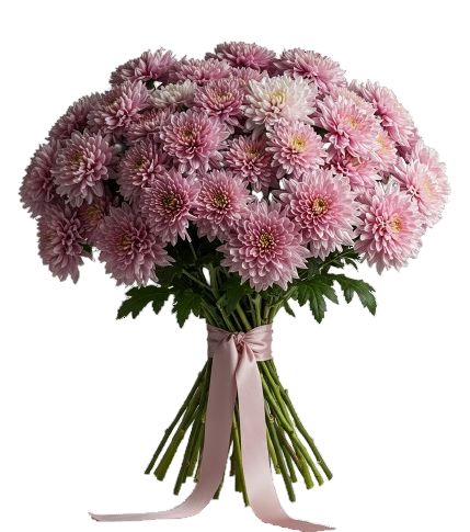 Bouquet Light Pink Chrysanthemum