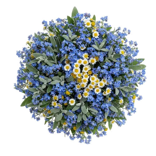 Bouquet of Blue Forget Me Not and Daisies - Florist London