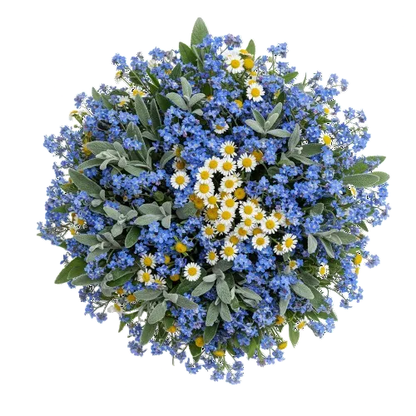 Bouquet of Blue Forget Me Not and Daisies - Florist London