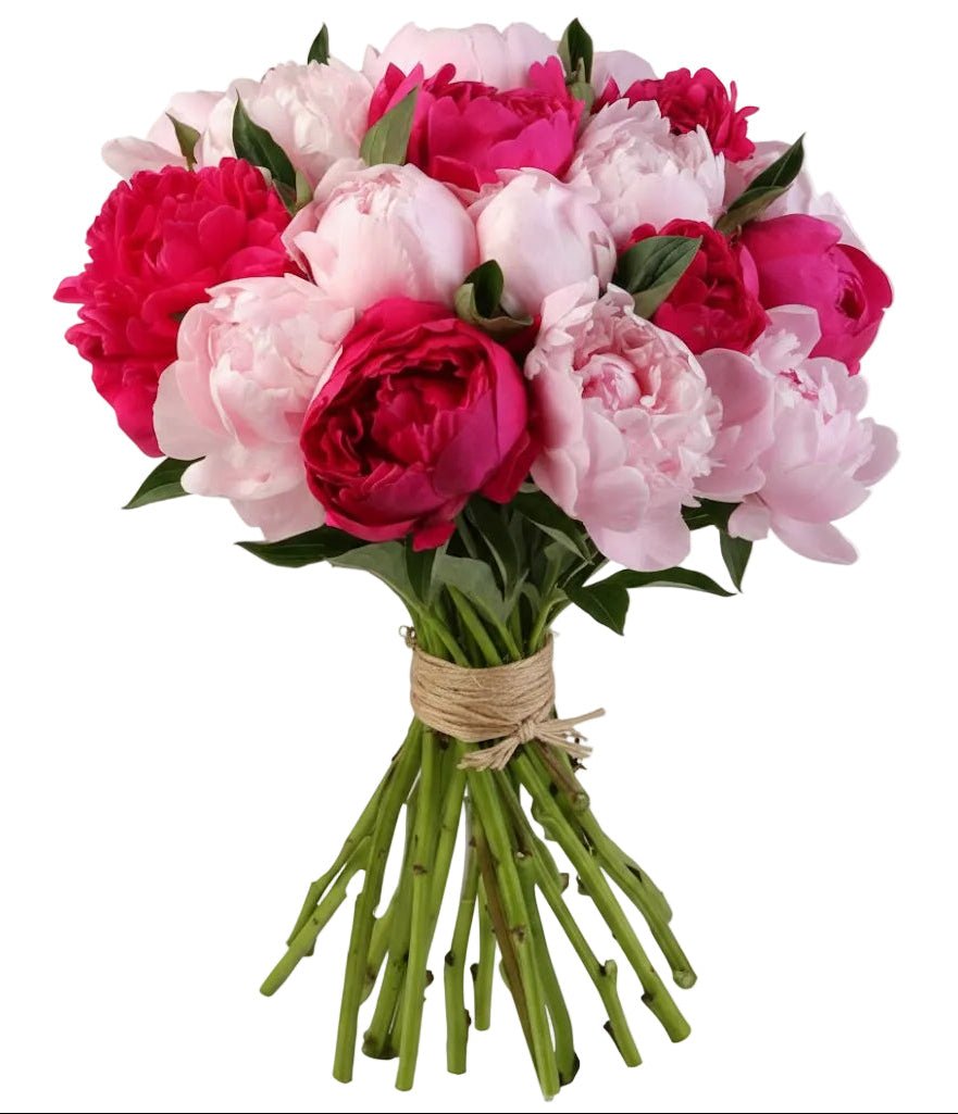 Bouquet of Cerise and Pink Peonies - Florist London