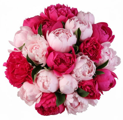 Bouquet of Cerise and Pink Peonies - Florist London