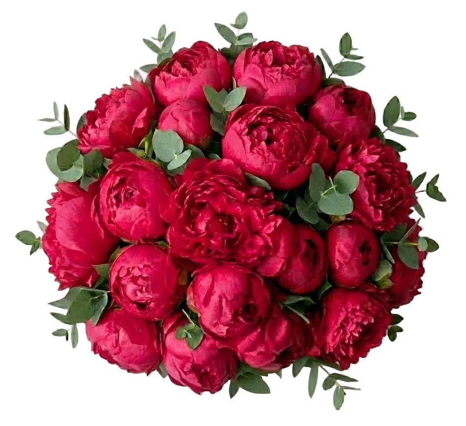Bouquet of Cerise Peonies with Eucalyptus - Florist London
