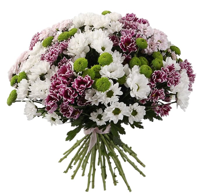 Bouquet of Charming Chrysanthemum - Florist London