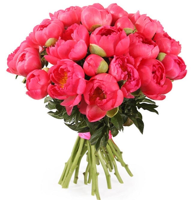 Bouquet of Coral Peonies - Florist London