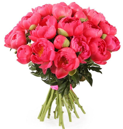 Bouquet of Coral Peonies - Florist London