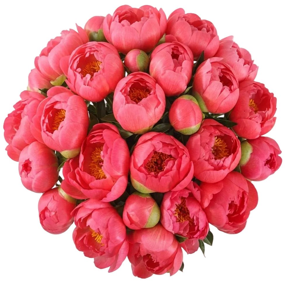 Bouquet of Coral Peonies - Florist London