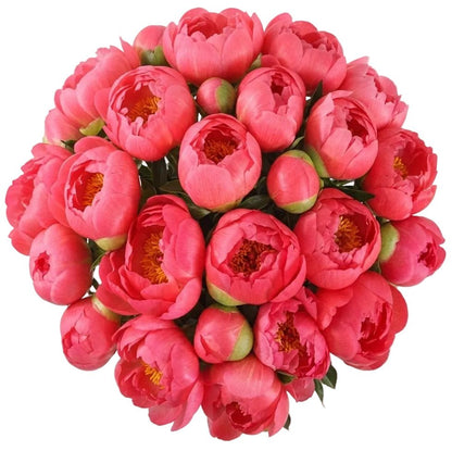 Bouquet of Coral Peonies - Florist London