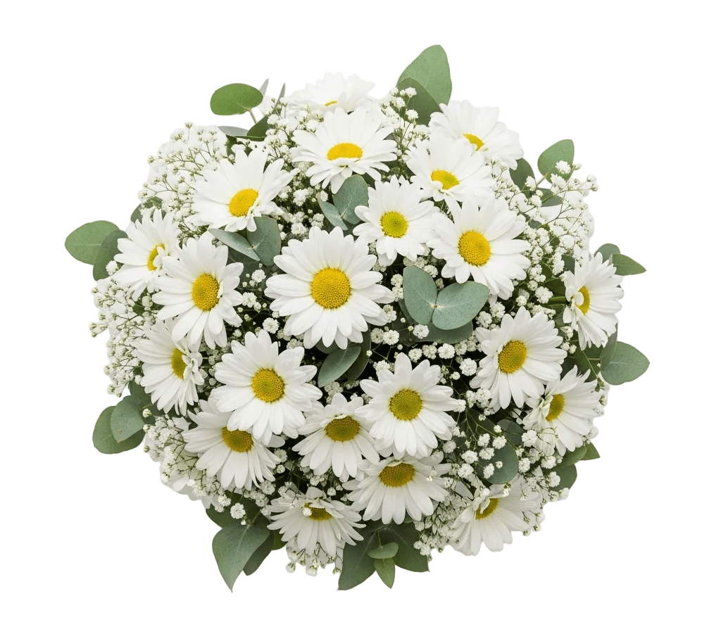 Bouquet of Daisy with Gypsophila and Eucalyptus - Florist London