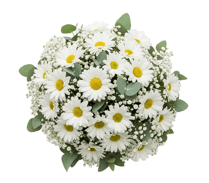 Bouquet of Daisy with Gypsophila and Eucalyptus - Florist London