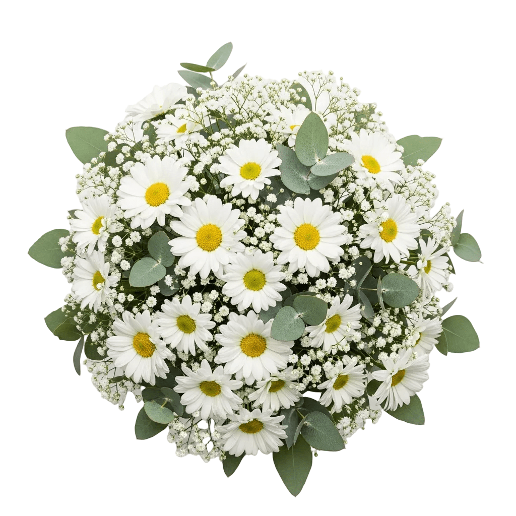 Bouquet of Daisy with Gypsophila and Eucalyptus - Florist London