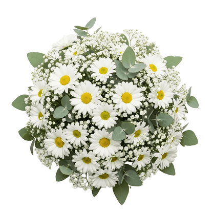 Bouquet of Daisy with Gypsophila and Eucalyptus - Florist London