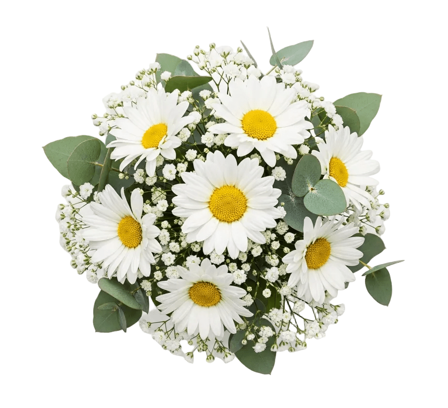 Bouquet of Daisy with Gypsophila and Eucalyptus - Florist London