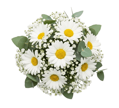 Bouquet of Daisy with Gypsophila and Eucalyptus - Florist London