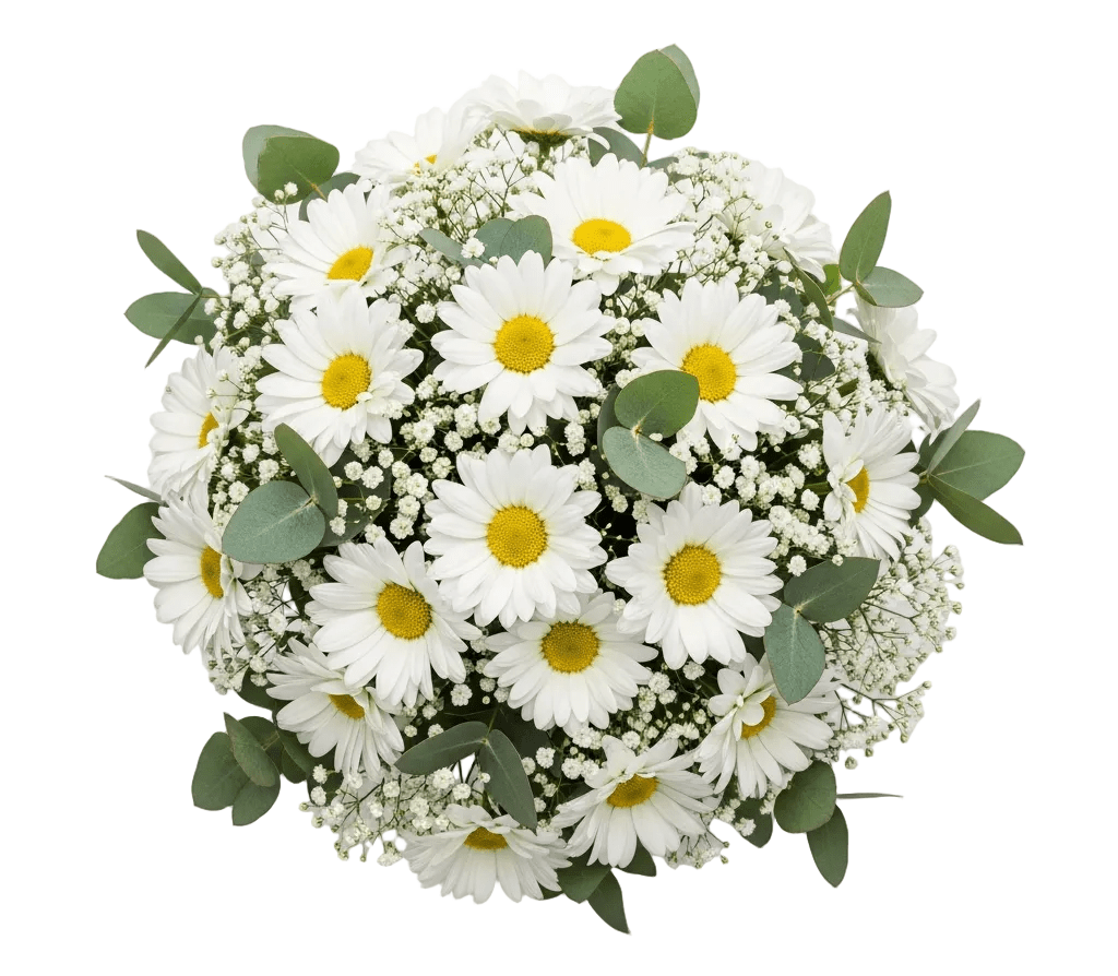 Bouquet of Daisy with Gypsophila and Eucalyptus - Florist London