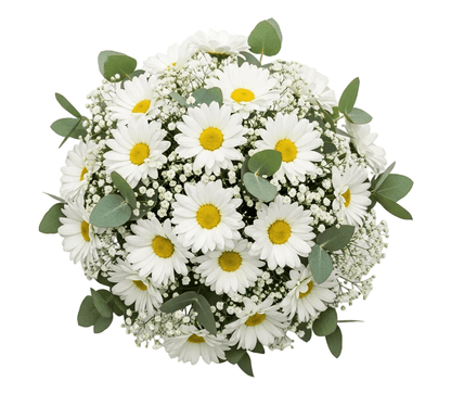 Bouquet of Daisy with Gypsophila and Eucalyptus - Florist London