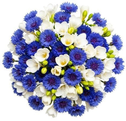 Bouquet of Freesias and Cornflowers - Florist London
