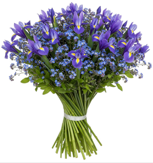 Bouquet of Iris with Blue Forget Me Not - Florist London