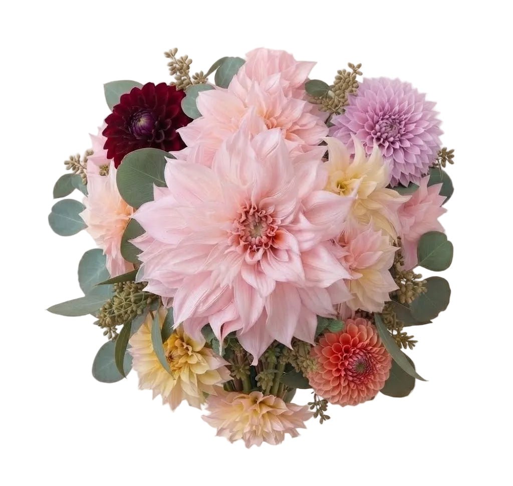 Bouquet of Luxury Colored Dahlia - Florist London