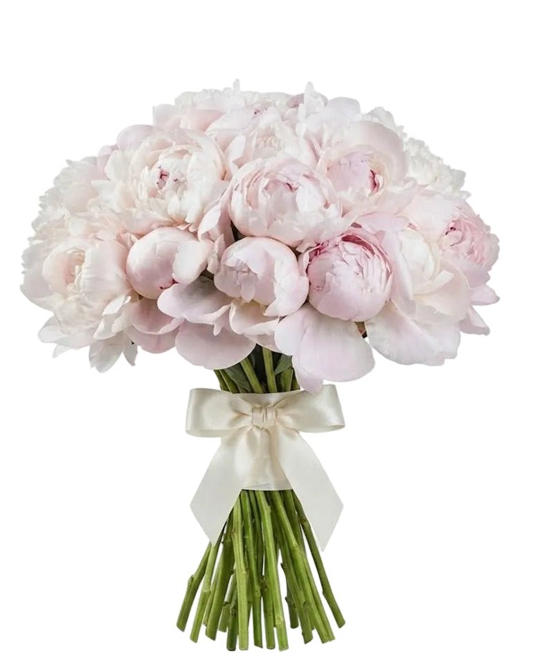 Bouquet of Pale Pink Peonies - Florist London