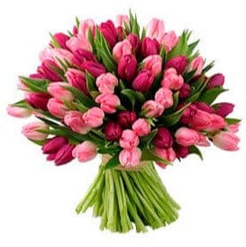 Bouquet of Pink and Cerise Tulips - Florist London